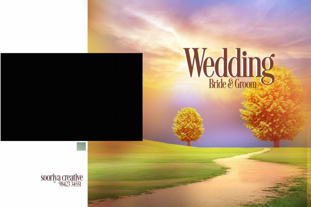 dvd cover size psd