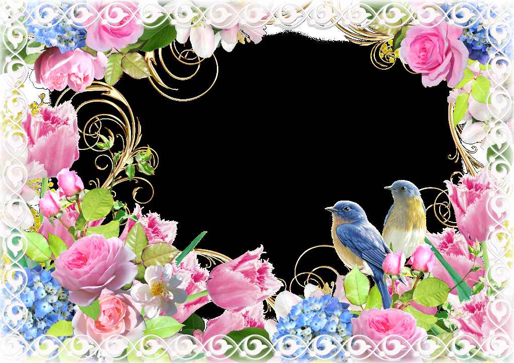 Stylish Photo Frame PNG Free Download 